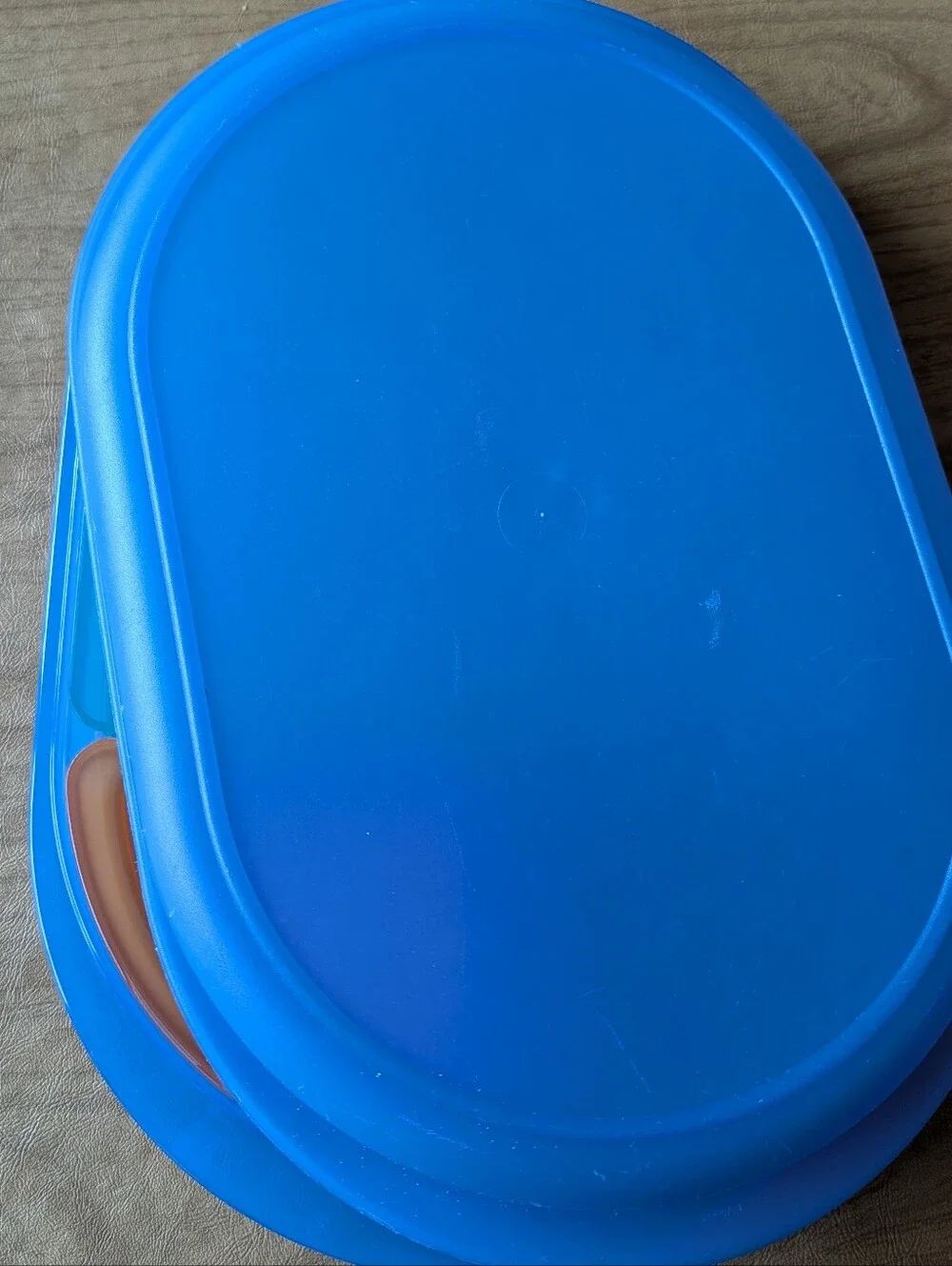 Tupperware Blue Multi-Compartment Plastic Snack & Storage Tray